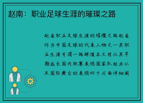 赵南：职业足球生涯的璀璨之路